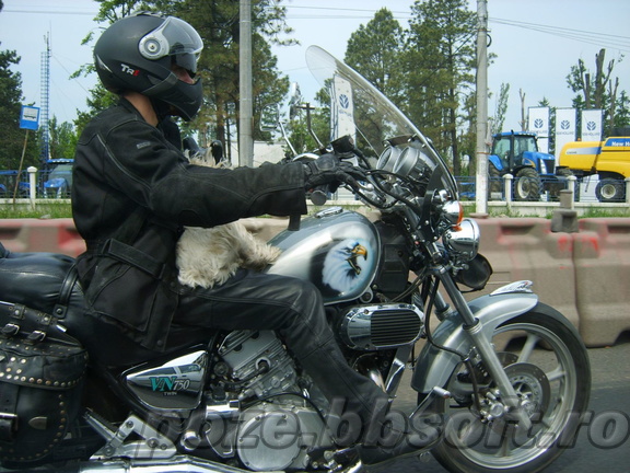 Motociclist cu un catel in brate