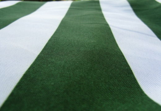 Textura panza verde cu alb