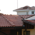Pui de pescarus pe acoperisul unei case