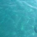Apa limpede cu pesti - marea Egee