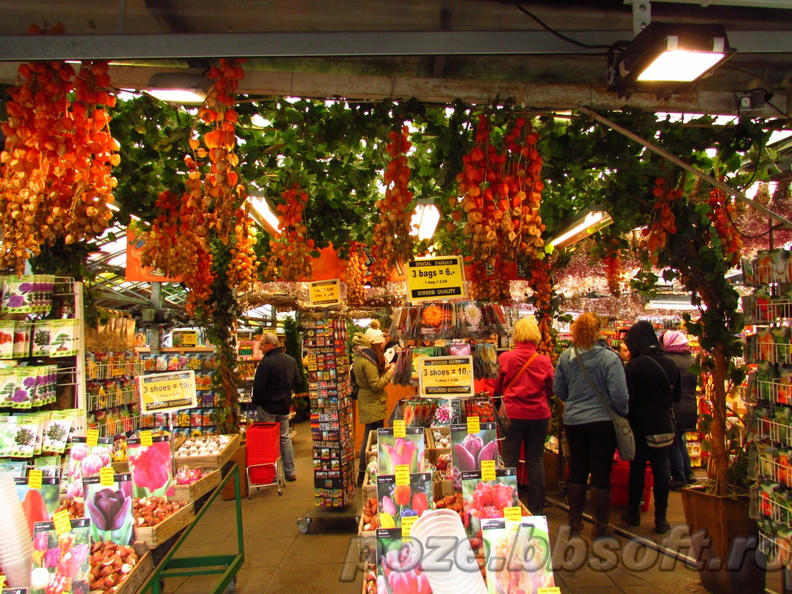 Interior piata de flori Amsterdam Olanda
