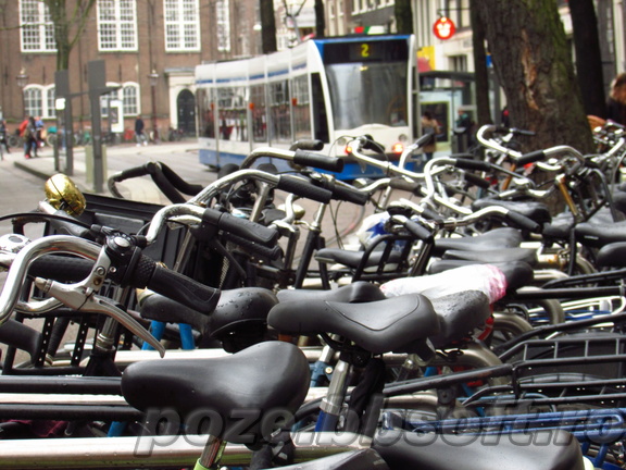 Multe biciclete parcate amsterdam - Olanda