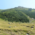 Transfagarasan - tufe de jneapan pe versant