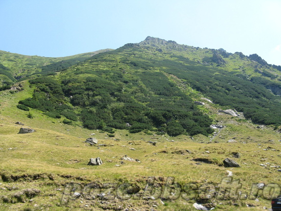 Transfagarasan - tufe de jneapan pe versant