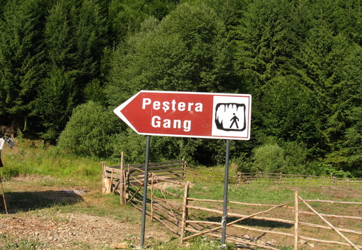 Pestera Gang