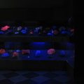 Camera cu pietre florescente la ultraviolete