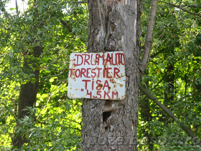 Drum forestier Tisa-Moreni - Romania