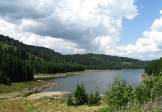Lacul Vidra - vedere spre lac