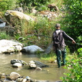Pescar amator pe parau de munte - Riu de Mori